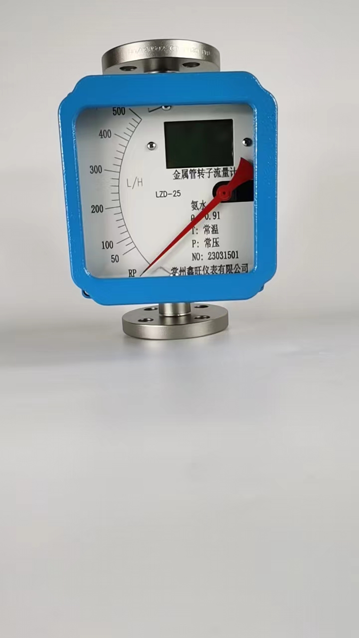 LZD-100远传型金属管浮子流...