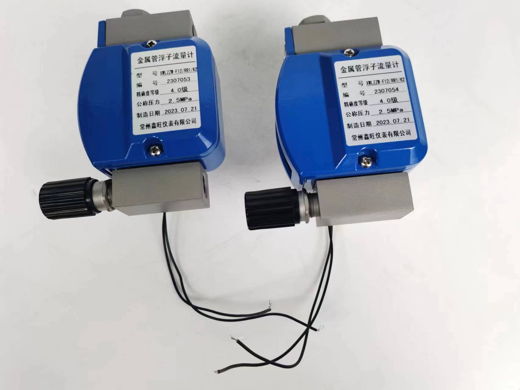 LZD-150远传型金属管浮子流...